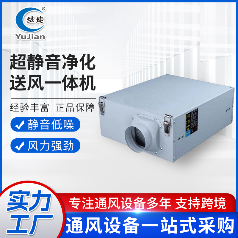 净化送风一体机新风系统过滤一体机家用商用净化管道送风